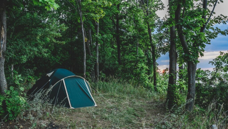 Kasauli Wilderness Camp - Picture Gallery
