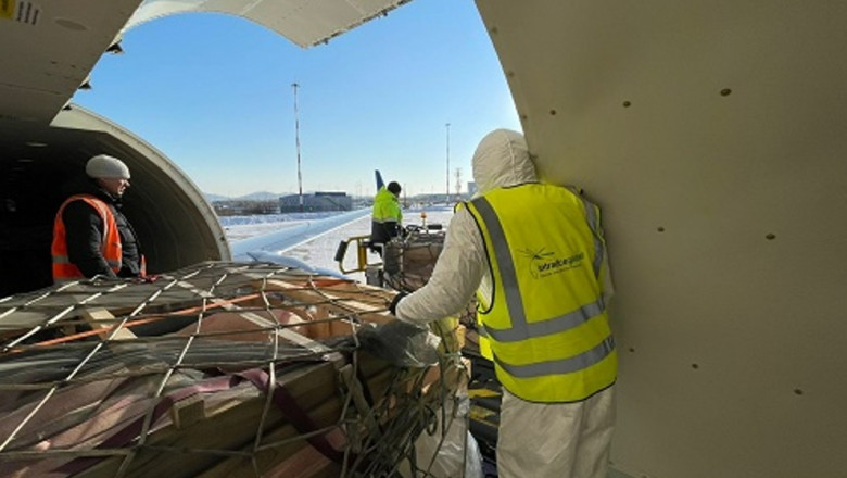 ATRAN Airlines transports over 80 pigs from Moscow to Vladivostok