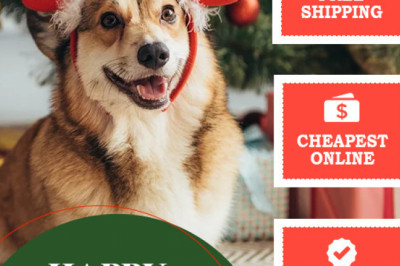 BargainPetStore has some great Christmas deals on all Pet Products
