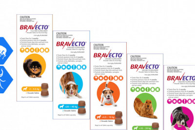 BRAVECTO 2 Chews for Dogs 3 Months protection from Flea and Tick
