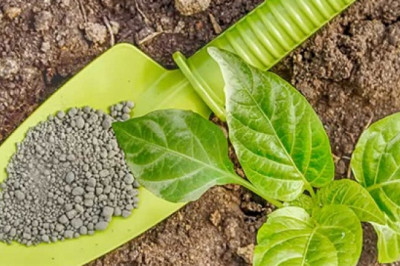 Global Bionematicides Market Size, Share, Trend, Growth & Forecast 2026