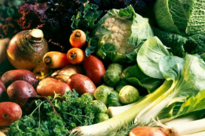Saudi Arabia Organic Farming Market Analysis & Trends - Industry Forecast to 2026