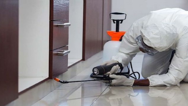 Termite Control Services