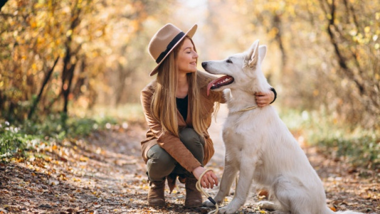 What Is the Role of the Puppy Pen?