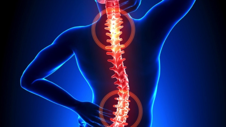 Middle East and Africa Neuropathic Pain Market 2021 Industry Strategy, Trends, Growth, Size, Share, Demand and Forecast to 2028