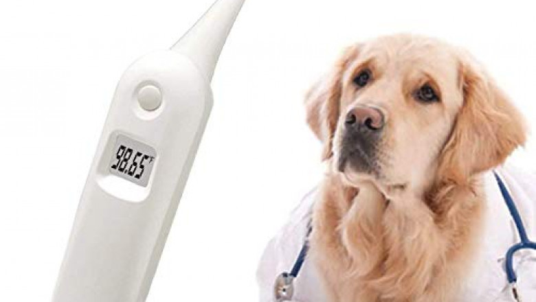 Pet Temperature Monitor Market: Ready To Fly on high Growth Trends | Top Players are Ideal Sciences