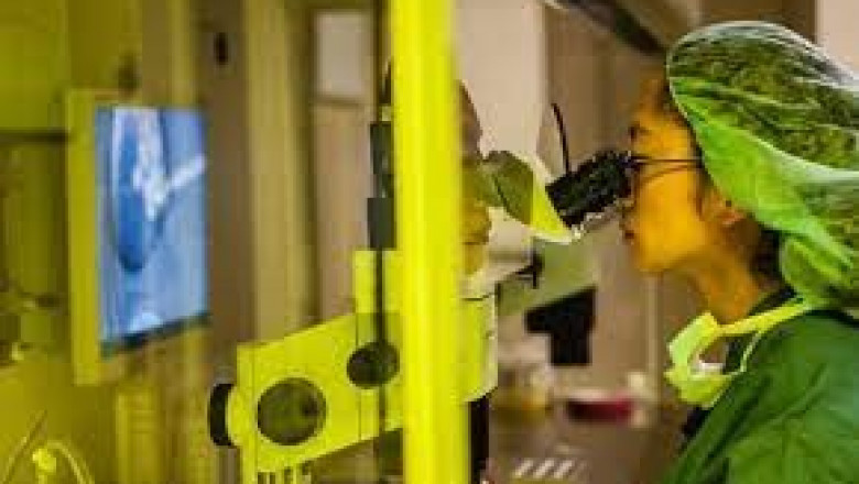 Remains Freezing Service Market: Ready To Fly on high Growth Trends