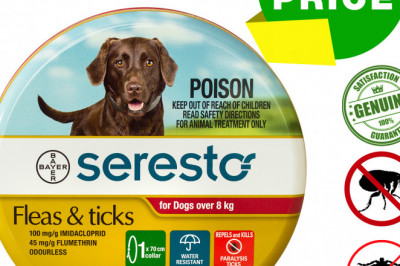 SERESTO Collar RED for Dogs Over 8 Kg Tick and Flea Control