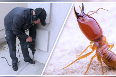 Termite Control Market Is Divided Into Four Sections Based On Application: Commercial & Industrial, Residential, Agriculture & Livestock Farms, And Others