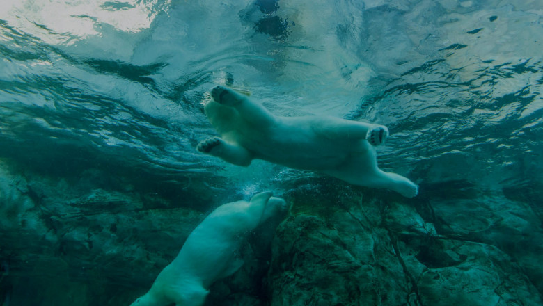 Things To Consider While Choosing A Spray Foam Insulation Contractor