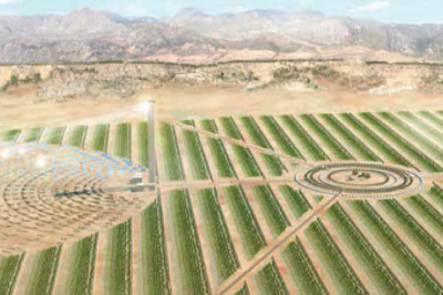 Middle East & Africa Desert Farming Market Size, Share, Growth & Forecast 2026