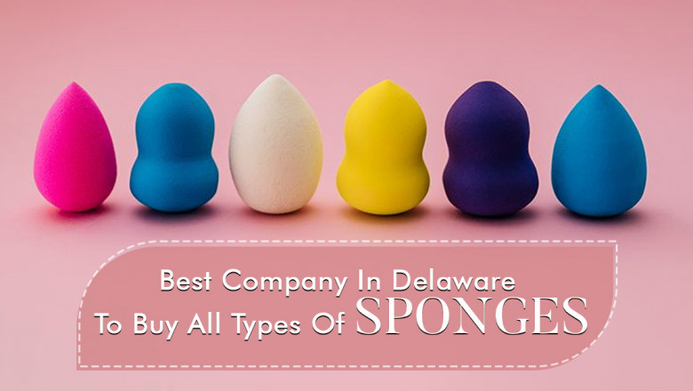 Best Company In Delaware To Buy All Types Of Sponges – Sponeas