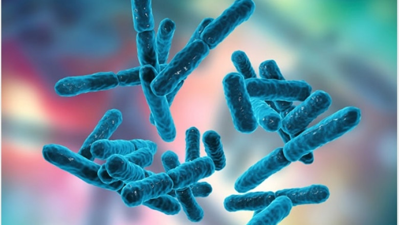 Significant Impact of COVID-19 on Probiotics | Food and Beverages Industry