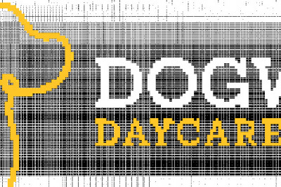 Best  Dog Day Care Service | Dog Wise Day Care