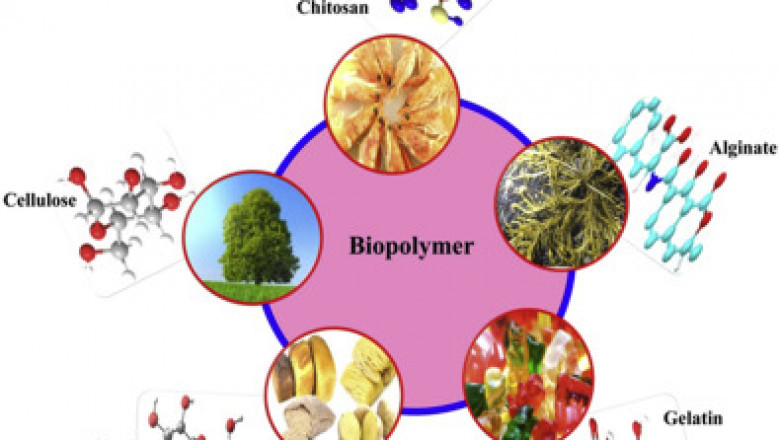 Biopolymers Market Size by Type (Non-Biodegradable/Bio-Based, Biodegradable, and Others), and End-Use Industry (Packaging, Consumer Goods, Automotive & Transportation