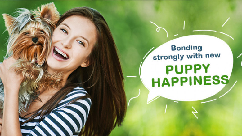 Bonding strongly with new puppy happiness