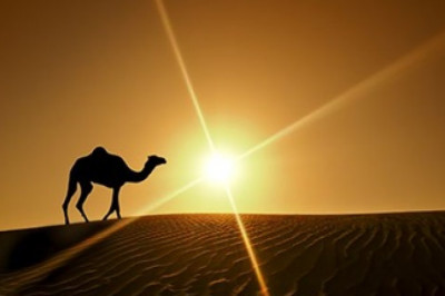 Desert Party Dubai ###1