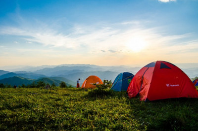 Kasauli Wilderness Camps
