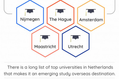 Study Bachelor's or Masters in the Netherlands