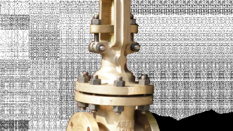 Aluminium Bronze valve manufacturer in India