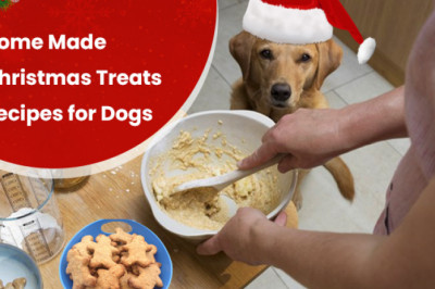 Home Made Christmas Treats Recipes For Dogs