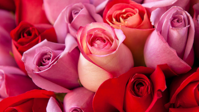 How to successfully decorate room for a party