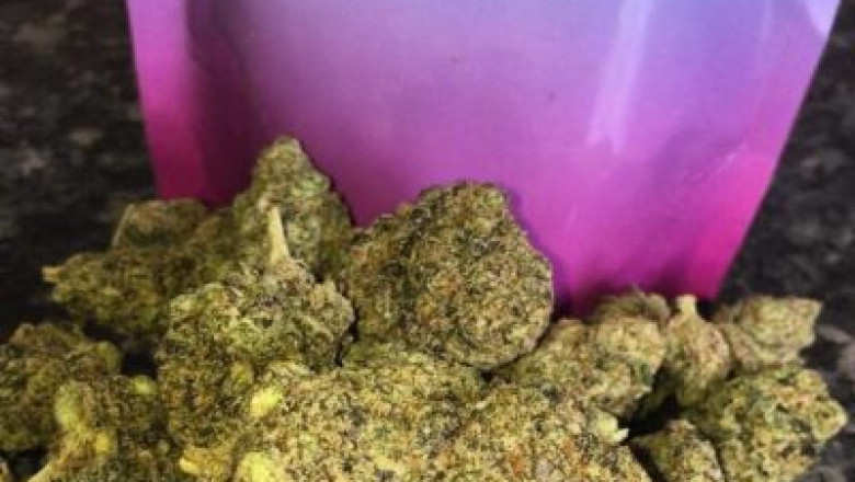 Purple Runtz Strain for Sale
