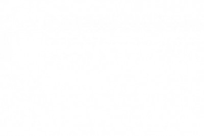 Reasons to Hire Ashenoff And Associates, Inc. for Litigation Support Services