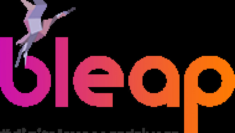 BLeap digital marketing consultant in Bangalore