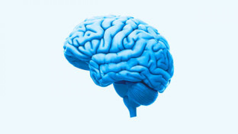 Blood Purifier For Skin Problems - The Best Medicine For Brain Power