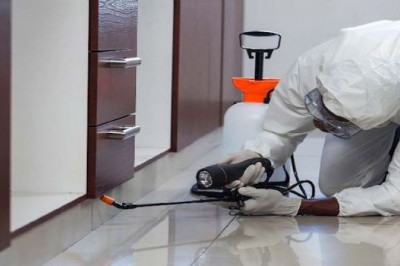 pest control services - pest control Hyderabad