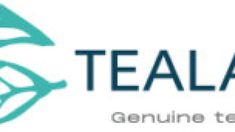 Buy Best Tea and Tea Products in UAE Online – Tealand