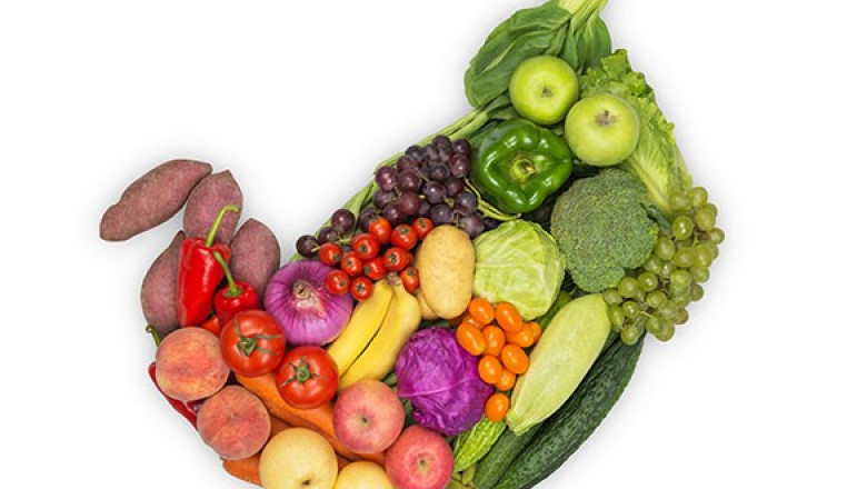 Best Dietician in India | Gut Health