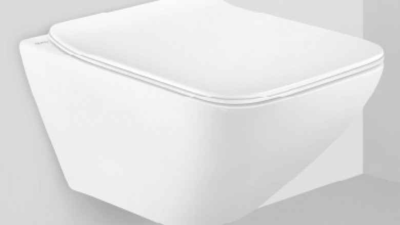 Get here the Latest Designer Water Closet - Queobathrooms