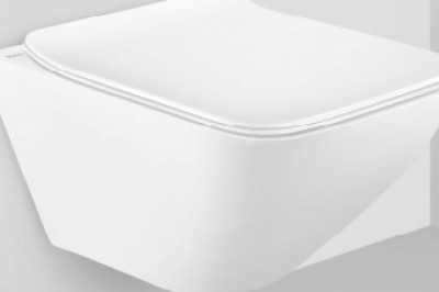 Get here the Latest Designer Water Closet - Queobathrooms