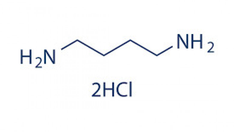 Global 1,4-Diaminobutane Market May Set New Growth Story | DSM, Koei Chemical