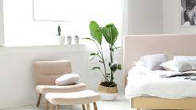 How to Choose Timber Bed Frames- Workable Tips