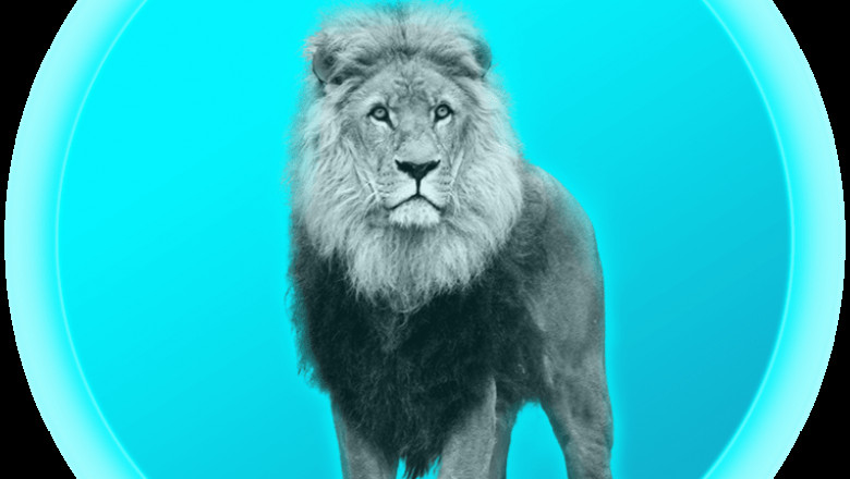 Pourquoi est-il important de faire du référencement de site Web?