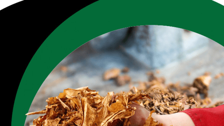 Tobacco Merchant Account