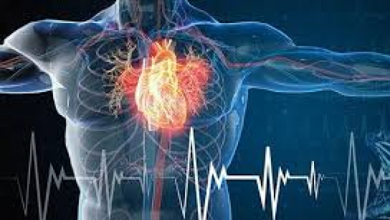 East Africa and Turkey Heart Failure Drugs Market Overview, Global Growth and Competitor Analysis up to 2026