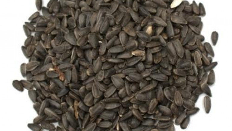 Flower Seeds Market Increasing Demand 2021 and Future Outlook 2026