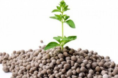 Anti-Caking Agents for Fertilizer Market  Status, Top Competitor Analysis, Growth Aspects during Forecast 2021-2026
