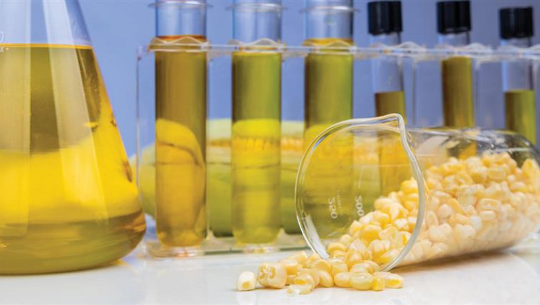 Bio Lubricant Market Trends by Key Players, End User, Demand, Analysis Growth and Forecast 2030 | ChemAnalyst