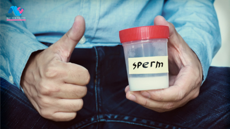 Fertility Testing