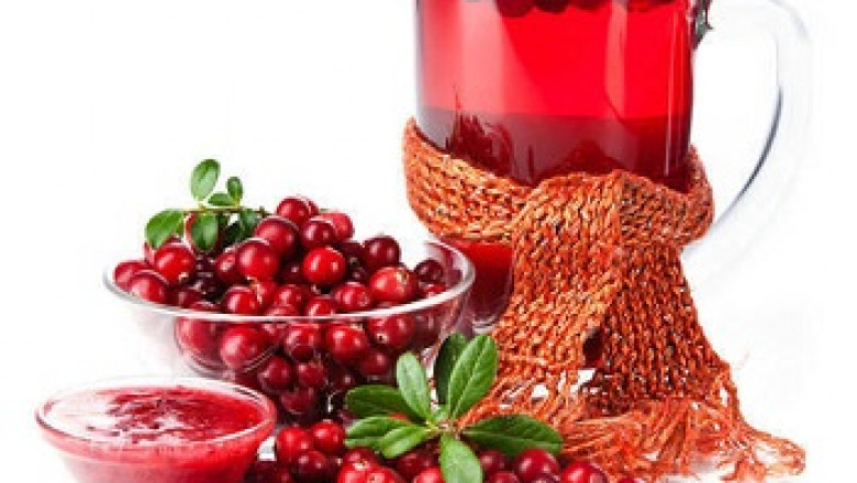 Global Cranberry Extract Market is Booming Worldwide with Top Key Players like NOW Foods, Ocean Spray,