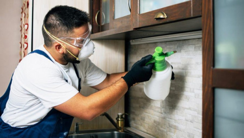 Hire Pest Control Chermside Professionals for effective services