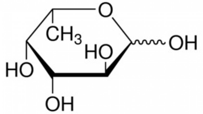 L-Fucose Market Manufacturing Size, Share, Business Outlook, Vital Challenges and Forecast Analysis by 2026
