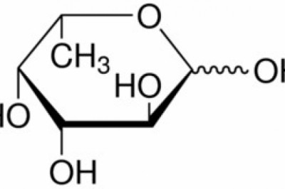 L-Fucose Market Manufacturing Size, Share, Business Outlook, Vital Challenges and Forecast Analysis by 2026