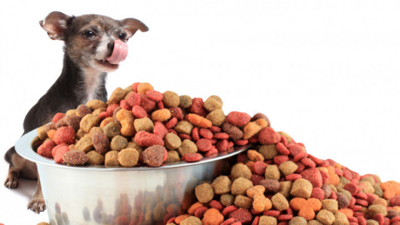 Pet Food Market to Grow at a CAGR of 4.5% During the Forecast Period 2020-2025