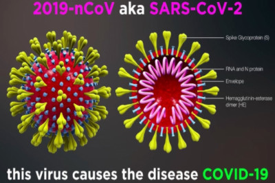 COVID-19 vs SARS: All you need to know